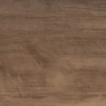 Paperbark (Acoustic)