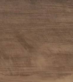 Paperbark (Acoustic)