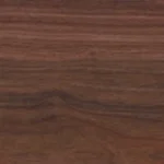 Tasmanian Myrtle (Acoustic)