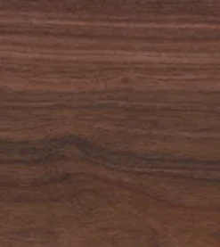 Tasmanian Myrtle (Acoustic)