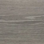 Silver Birch (Acoustic)