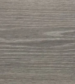 Silver Birch (Acoustic)