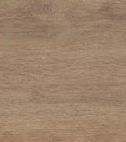Grey Gum (Acoustic)