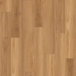 Blackbutt