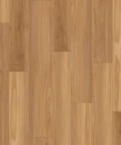 Blackbutt