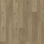 Maple