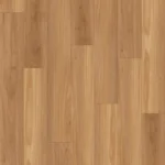 Blackbutt