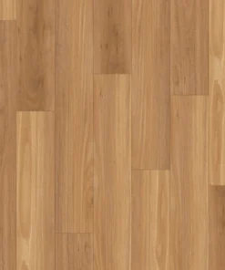 Blackbutt