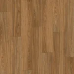 Spotted Gum
