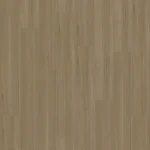 Honey Blackbutt