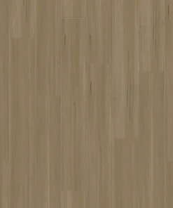 Honey Blackbutt