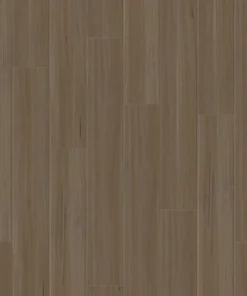 Pecan Blackbutt