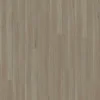 Almond Blackbutt