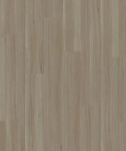 Almond Blackbutt