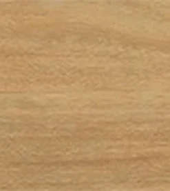Spotted Gum