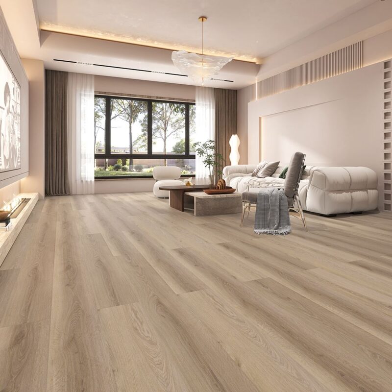 Gobi — room view