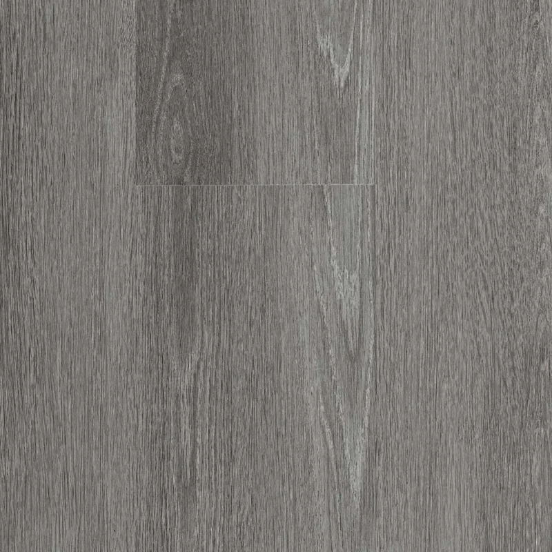 Ardesia — Stonegrove Altus hybrid