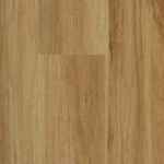 Blackbutt