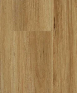 Blackbutt — Stonegrove Altus hybrid