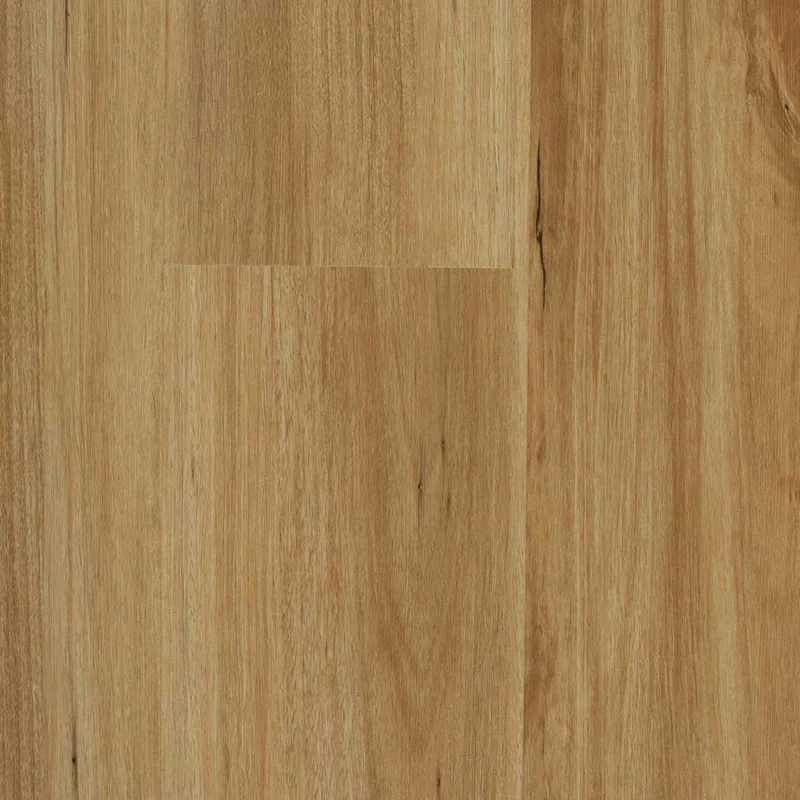 Blackbutt — Stonegrove Altus hybrid