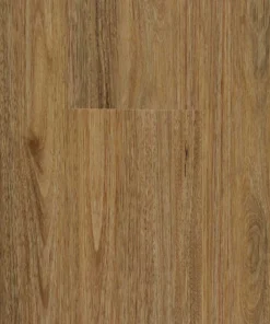 Spotted Gum — Stonegrove Altus hybrid