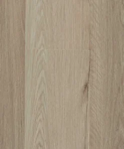 Dusty Rose — Stonegrove Brevis hybrid