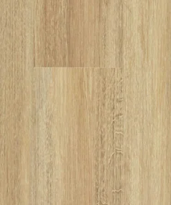 Anise — Stonegrove Brevis hybrid
