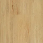Coastal Blackbutt