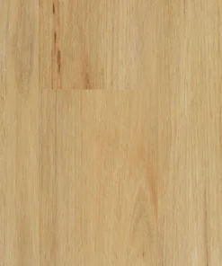 Coastal Blackbutt — Stonegrove Brevis hybrid