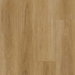 Classic Blackbutt