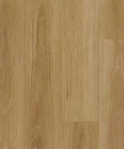 Classic Blackbutt