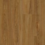 QLD Spotted Gum