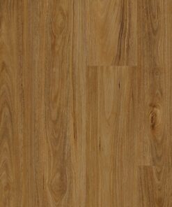 QLD Spotted Gum