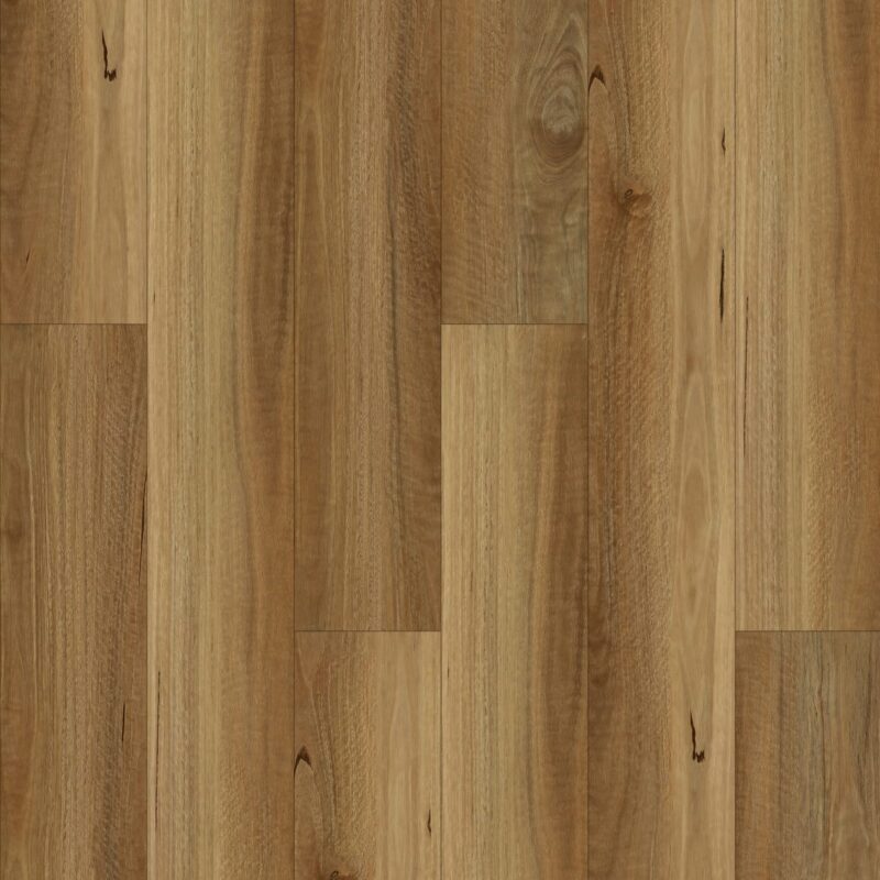 NSW Spotted Gum