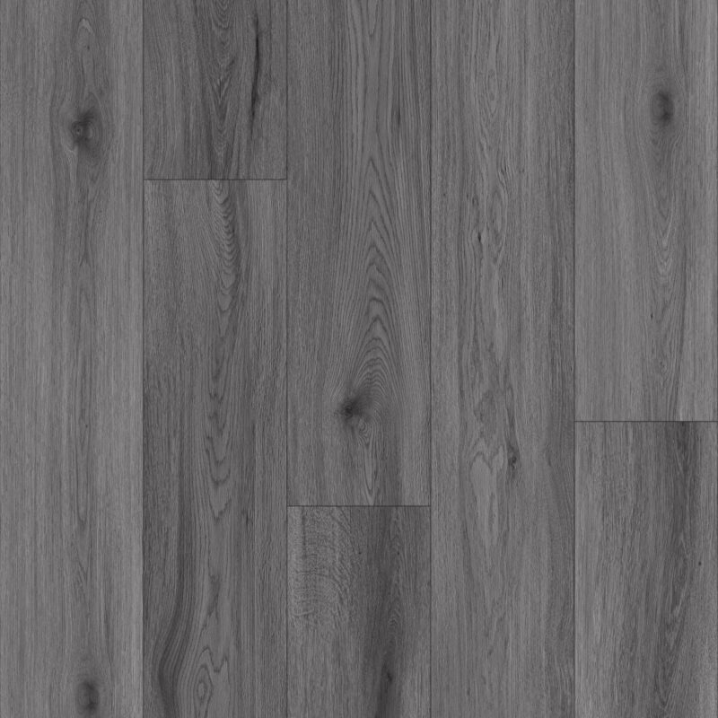 Dim Grey