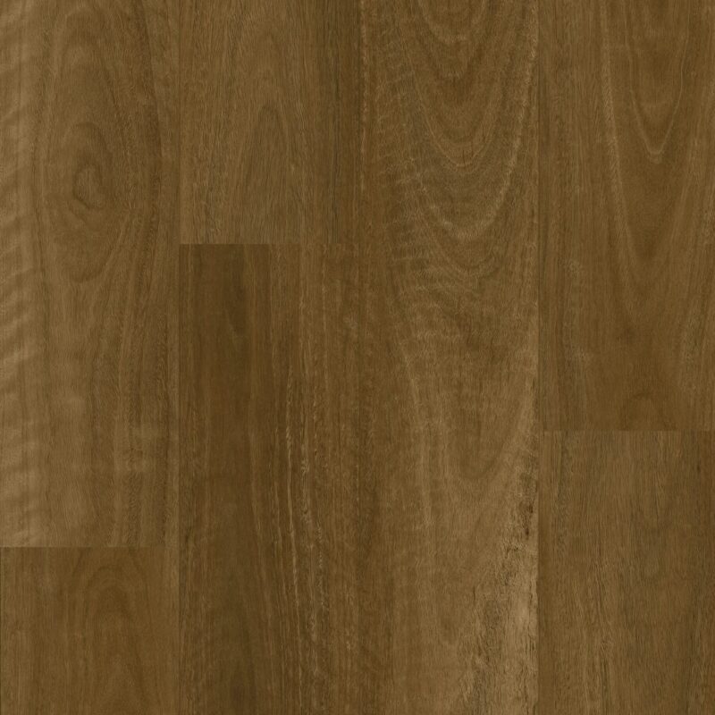Smoked Spotted Gum