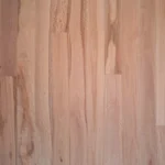 Pacific Blackbutt