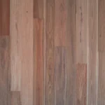 Pacific Spotted Gum
