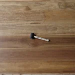 Spotted Gum
