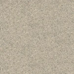 Sandy Beige Chip
