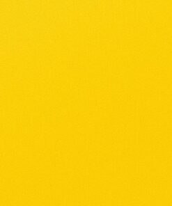 Lemon Punch