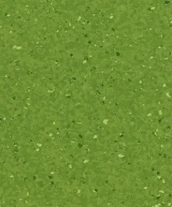 Spring Meadow