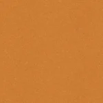 Burnt Orange