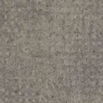 Deep Fossil