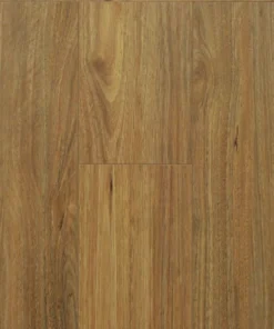 Golden Field NSW Spotted Gum Satin