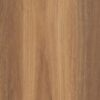 Alpine Spotted Gum
