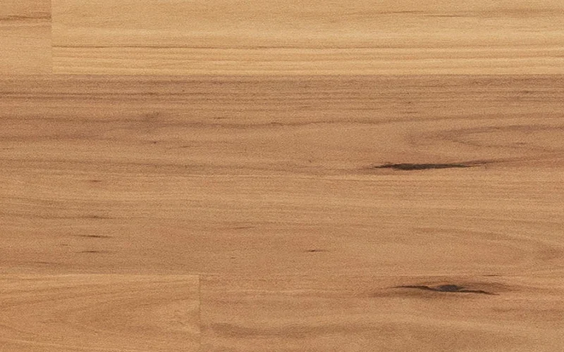 Blackbutt — Australian Heritage