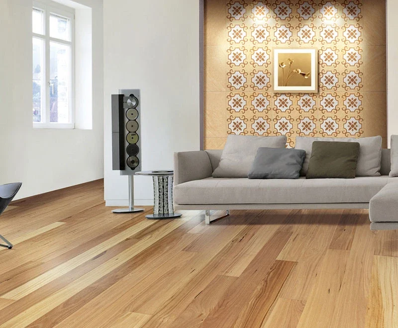 Blackbutt — Australian Heritage
