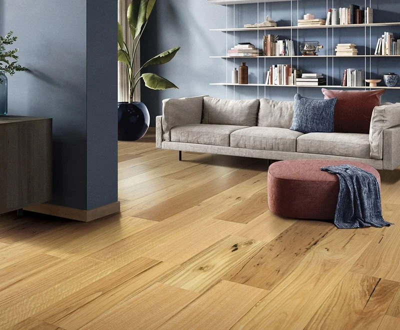 Blackbutt — Australian Heritage