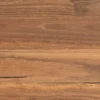 Spotted Gum — Australian Heritage